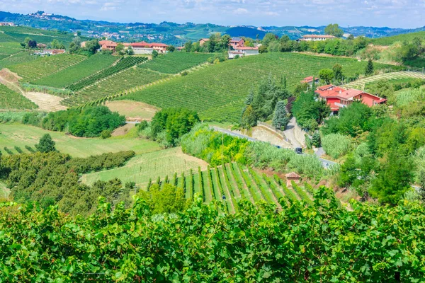 Veduta Neive Provincia Cuneo Piemonte Italia — Foto Stock