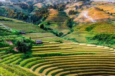 Mu Cang Chai bölgesindeki pirinç tarlalarının manzarası, Yen Bai Eyaleti, Kuzey Vietnam