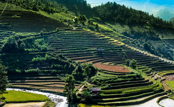 Paisaje Campos Arroz Distrito Cang Chai Provincia Yen Bai Vietnam —  Fotos de Stock