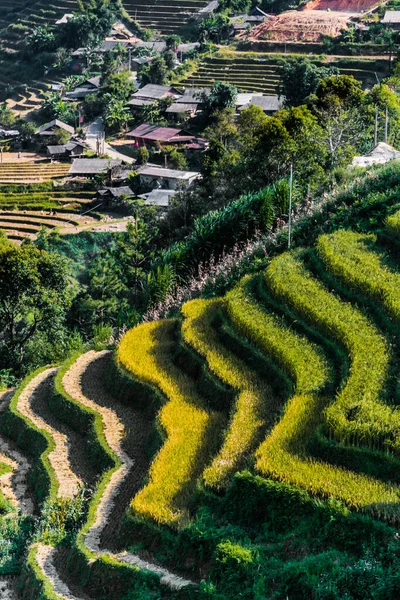 Vista Paisagem Campos Arroz Distrito Cang Chai Província Yen Bai — Fotografia de Stock
