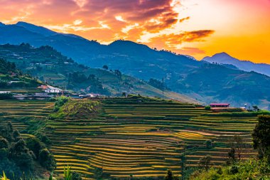 Mu Cang Chai bölgesindeki pirinç tarlalarının manzarası, Yen Bai Eyaleti, Kuzey Vietnam