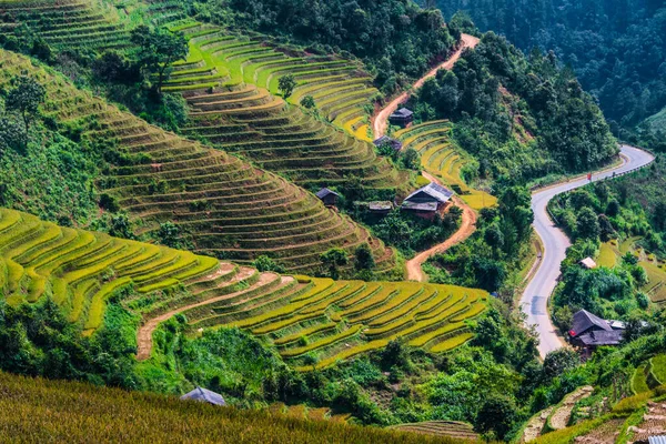Krajobraz Pól Ryżowych Dystrykcie Cang Chai Prowincja Yen Bai Wietnam — Zdjęcie stockowe