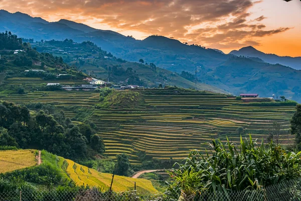 Mu Cang Chai bölgesindeki pirinç tarlalarının manzarası, Yen Bai Eyaleti, Kuzey Vietnam