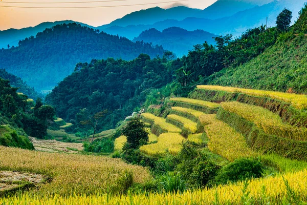 Paisaje Campos Arroz Distrito Cang Chai Provincia Yen Bai Vietnam —  Fotos de Stock