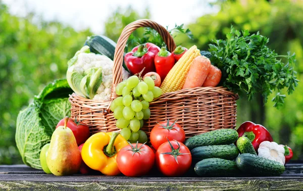 Rieten mand met geassorteerde rauwe biologische groenten in de tuin — Stockfoto