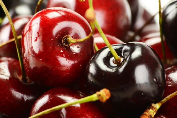 Composition with fresh cherries — Stock Photo, Image