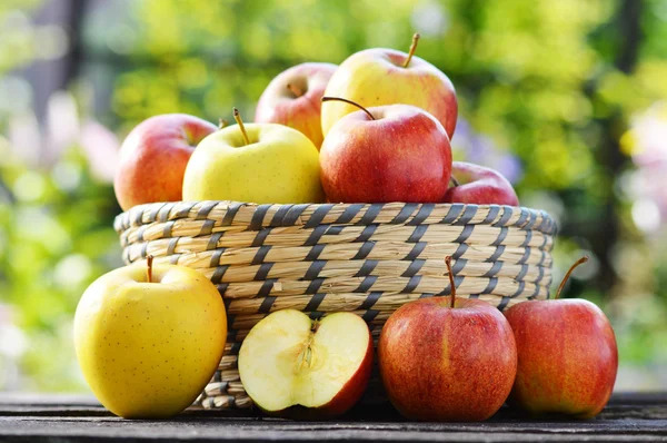 Organic apples in the garden. Balanced diet — Stock Photo, Image