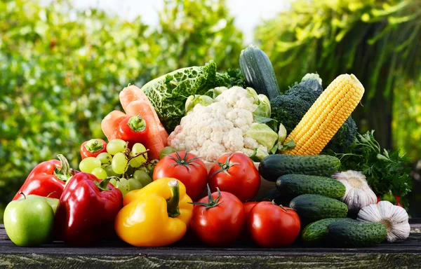 Geassorteerde rauwe biologische groenten in de tuin — Stockfoto