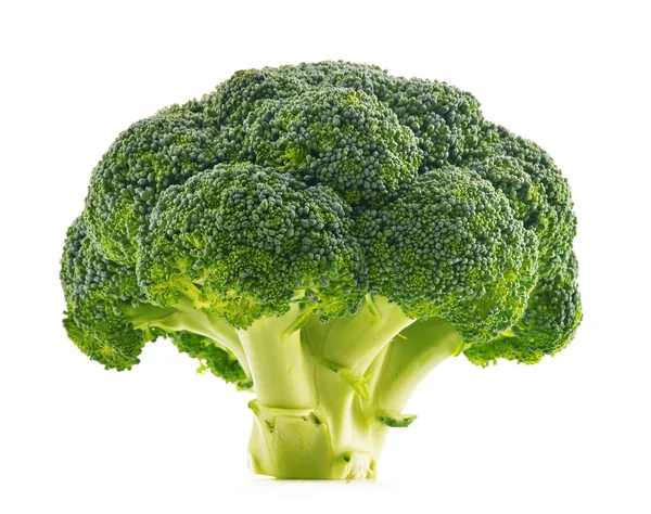 Verse organische broccoli geïsoleerd op wit — Stockfoto