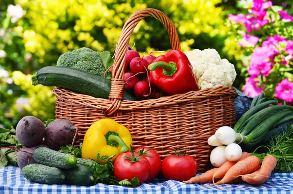 Diverse groenten in rieten mandje in de tuin — Stockfoto