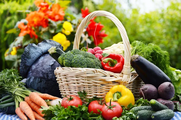 Sortiment zeleniny v proutěném koši na zahradě — Stock fotografie