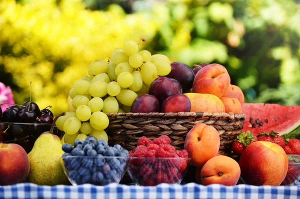 Korb mit frischem Bio-Obst im Garten — Stockfoto