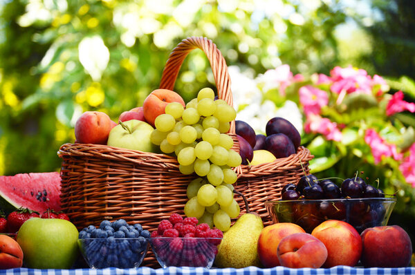 Basket of fresh organic fruits in the garden