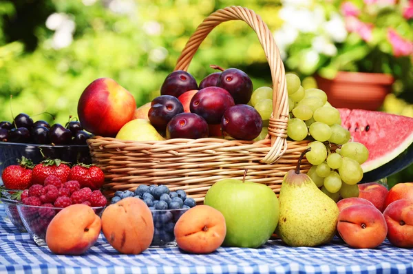 Korb mit frischem Bio-Obst im Garten — Stockfoto