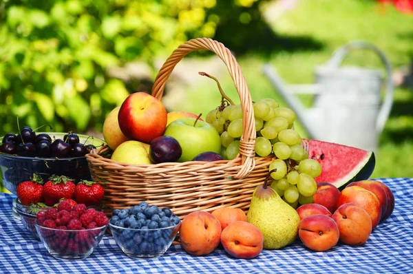 Korb mit frischem Bio-Obst im Garten — Stockfoto