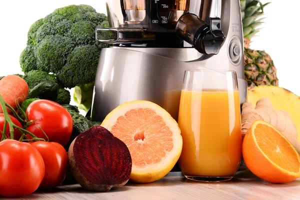 Exprimidor lento con frutas y verduras orgánicas aisladas en blanco —  Fotos de Stock