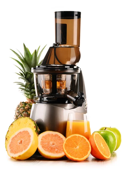 Langzame juicer met biologische groenten en fruit geïsoleerd op wit — Stockfoto