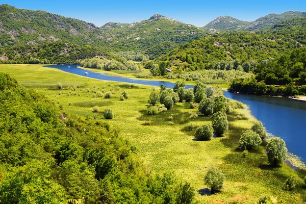 Skadarsko jezero, Montenegro, der größte See des Balkans — Stockfoto