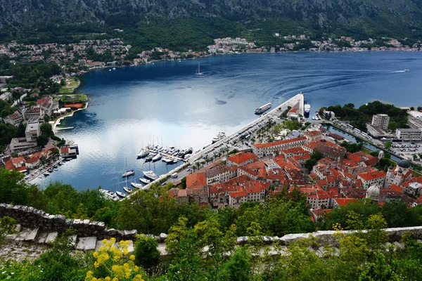 Vista del casco antiguo de kotor, montenegro — Foto de Stock