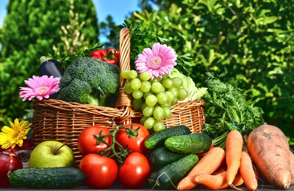 Variety of fresh organic vegetables and fruits in the garden — Stock Photo, Image