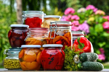Jars of pickled vegetables and fruits in the garden clipart
