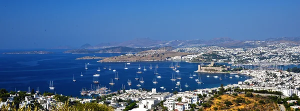 Blick auf den Hafen von Bodrum und die Burg von St. Peter — Stockfoto