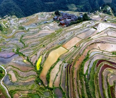 Guizhou, Çin 'deki Congjiang County' deki Jiabang Rice Terasları 'nın hava manzarası.