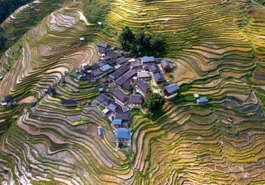 Guizhou, Çin 'deki Congjiang County' deki Jiabang Rice Terasları 'nın hava manzarası.