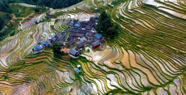 Guizhou, Çin 'deki Congjiang County' deki Jiabang Rice Terasları 'nın hava manzarası.