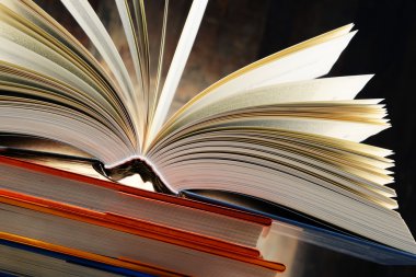 Ciltli kitaplar ile kompozisyon