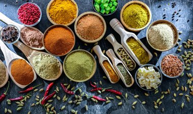 Çeşit çeşit baharat ve bitkilerle kompozisyon.