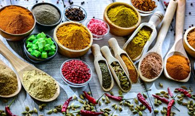 Çeşit çeşit baharat ve bitkilerle kompozisyon.