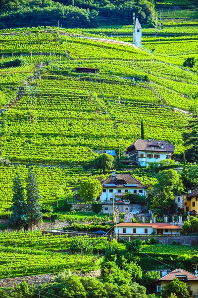 Kuzey İtalya 'daki Trentino-South Tyrol' un tarım manzarası.