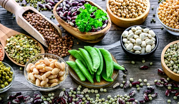 Akdeniz, DASH, vegan, vejetaryen ve esnek gibi bitki odaklı diyetlerin temeli olan yaygın baklagiller