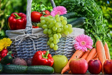 Taze organik sebze ve meyve bahçesinde çeşitli