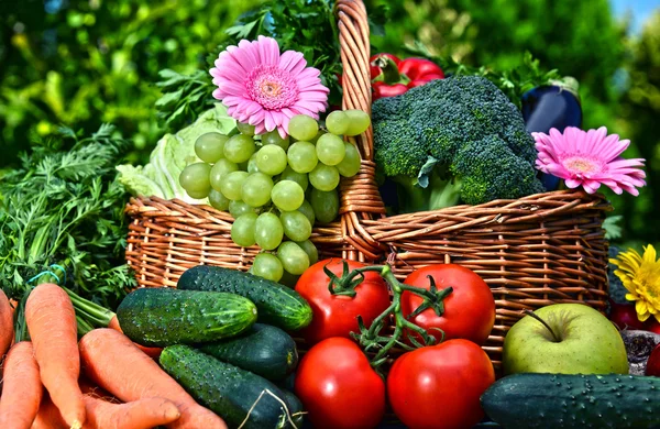 庭に新鮮な有機野菜や果物の様々 な — ストック写真
