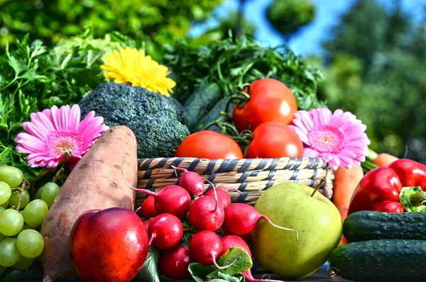 Ποικιλία από φρέσκα βιολογικά λαχανικά και φρούτα στον κήπο — Φωτογραφία Αρχείου