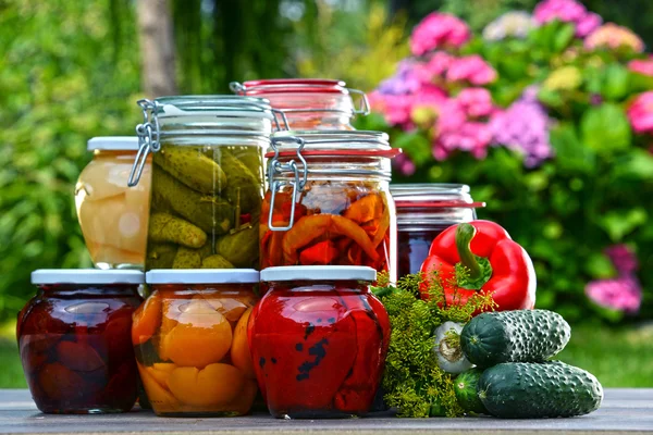 Frascos de legumes em conserva e frutas no jardim — Fotografia de Stock