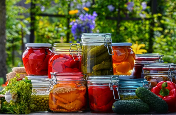 Frascos de verduras en escabeche y frutas en el jardín —  Fotos de Stock