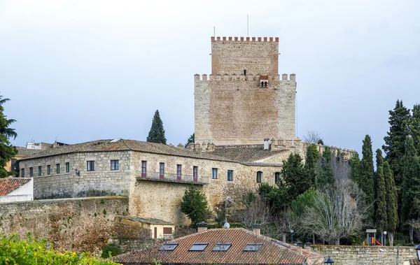 Slottet i Ciudad Rodrigo Spanien — Stockfoto