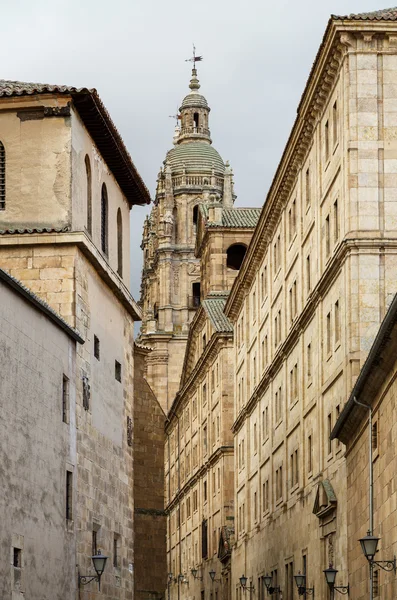 Cathedral and monuments of Salamanca — Stock Photo, Image