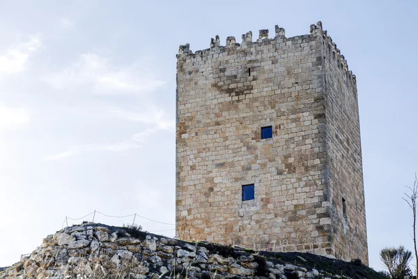 Castle Langa de Duero Spain — Stock Photo, Image