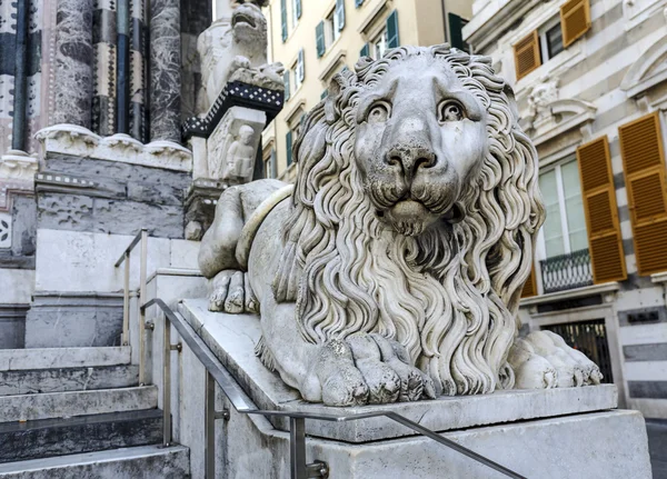 Venedik aslan heykeli yanında Katedrali San Lorenzo Cenova — Stok fotoğraf