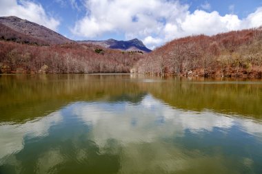 Sonbahar, göl santa fe, montseny. İspanya