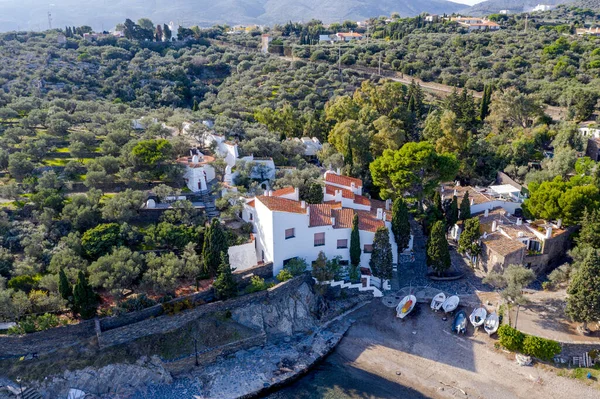 Port Lligat Espagne Avec Arbre Premier Plan Port Lligat Est — Photo