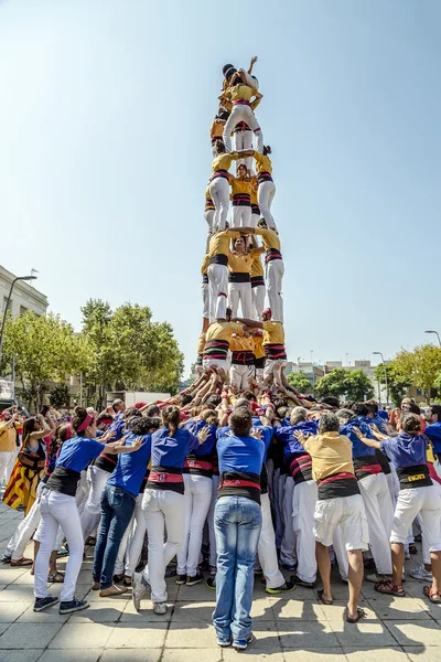 Castellers doen een castell of een menselijke toren, typisch in Catalonië. — Stockfoto