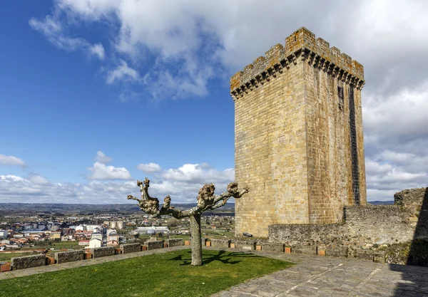 Castle of the Counts of lemos in Monforte de Lemos — Stock Photo, Image