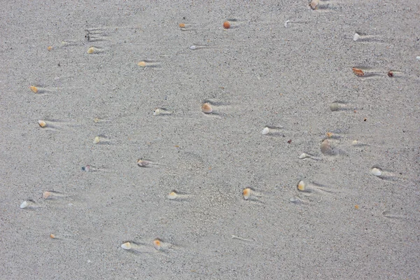 Pedra e areia no mar — Fotografia de Stock