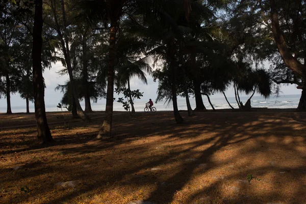 Andar de bicicleta na passarela ao lado do mar — Fotografia de Stock