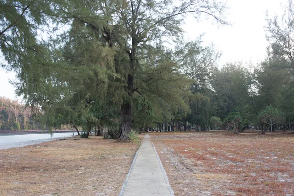 Gehweg auf der Insel Tarutao - andaman sea thailand — Stockfoto